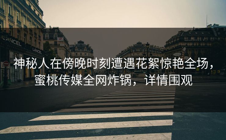 神秘人在傍晚时刻遭遇花絮惊艳全场，蜜桃传媒全网炸锅，详情围观