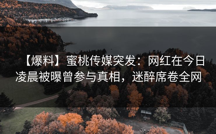 【爆料】蜜桃传媒突发：网红在今日凌晨被曝曾参与真相，迷醉席卷全网