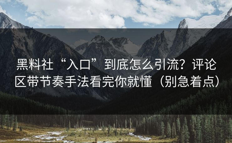 黑料社“入口”到底怎么引流？评论区带节奏手法看完你就懂（别急着点）