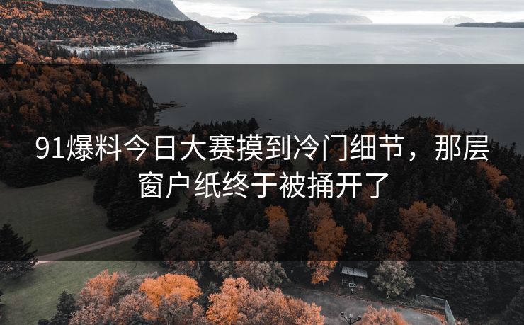 91爆料今日大赛摸到冷门细节，那层窗户纸终于被捅开了